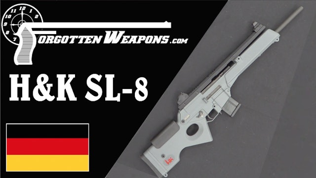 H&K SL-8: The Civilian G36