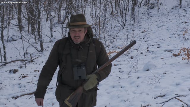 Wild boar hunting with an 18th centur...