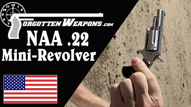 NAA .22 Magnum Mini-Revolver at the B...