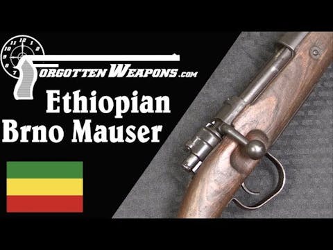 A Unique Partnership: Czech Mausers f...