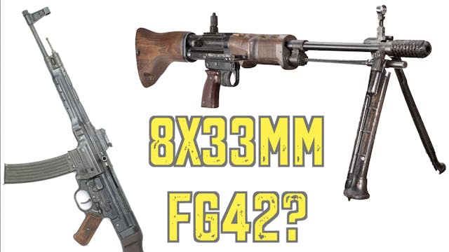 An Interesting Possibility: The FG-42...