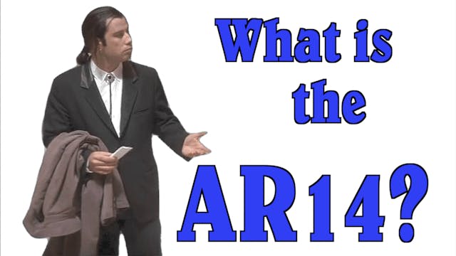 Yes, the AR-14 is a Real Gun...Sort Of