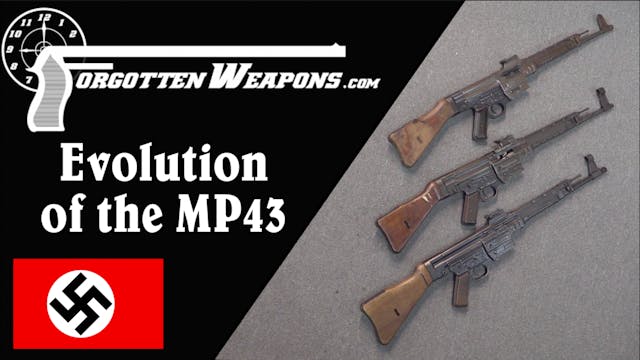 Evolution of the Sturmgewehr: MP43/1,...