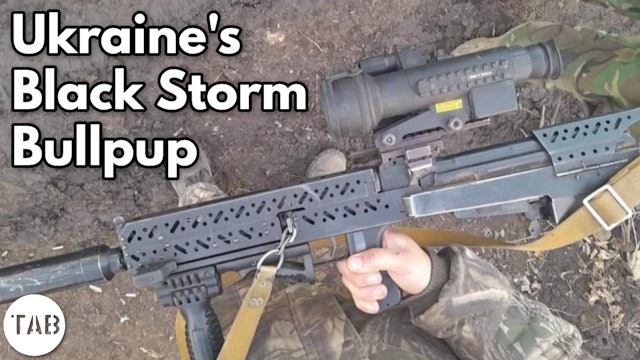 Black Storm: Converting Ukraine's AK-74s into Bullpups