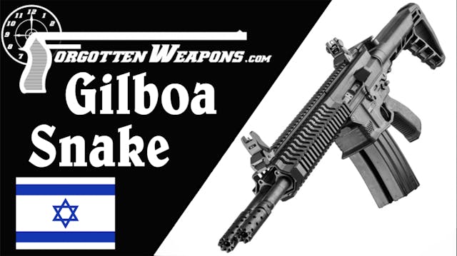 Gilboa Snake: Is the Double-AR Really...