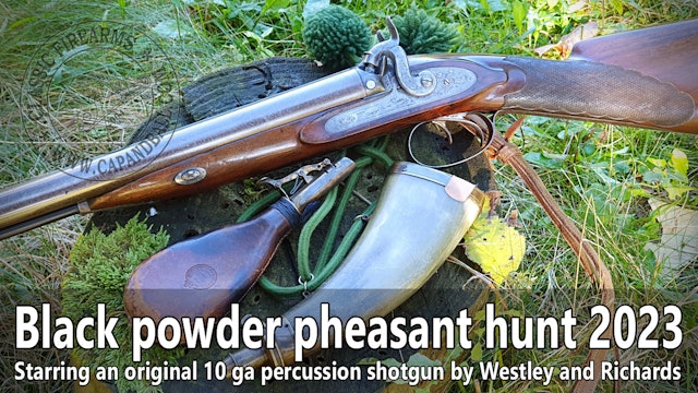 Partridge hunting with an original Westley Richards 10ga percussion shotgun
