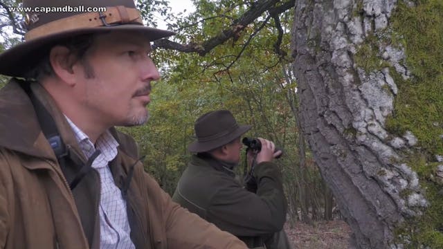 Flintlock fallow deer hunt in Hungary