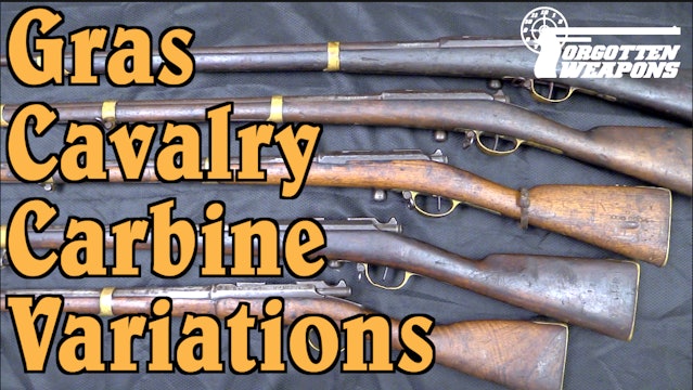 Variations on Gras Cavalry Carbines & Conversions from Ethiopia