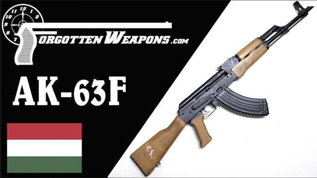 AK-63F: Hungary's Last Military Kalas...