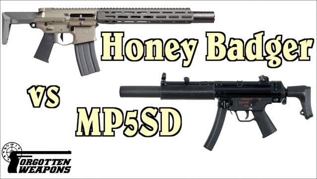 Can the Honey Badger a Replace the MP...