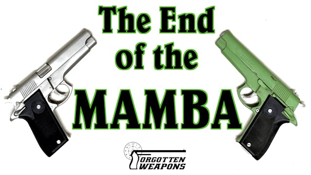 The End of the Mamba: A Tale of Manuf...