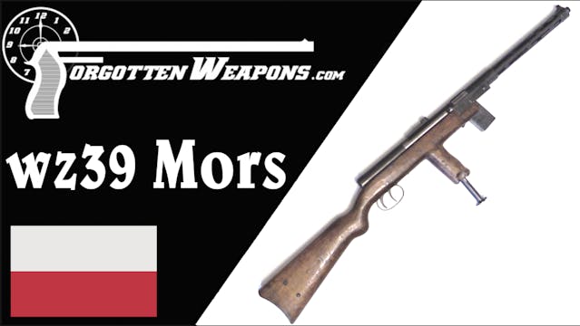 Poland's Problematic First SMG: The w...