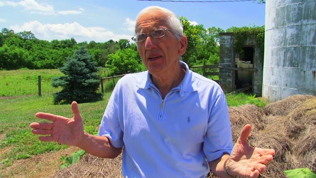 What About Organic Meat and Dairy?