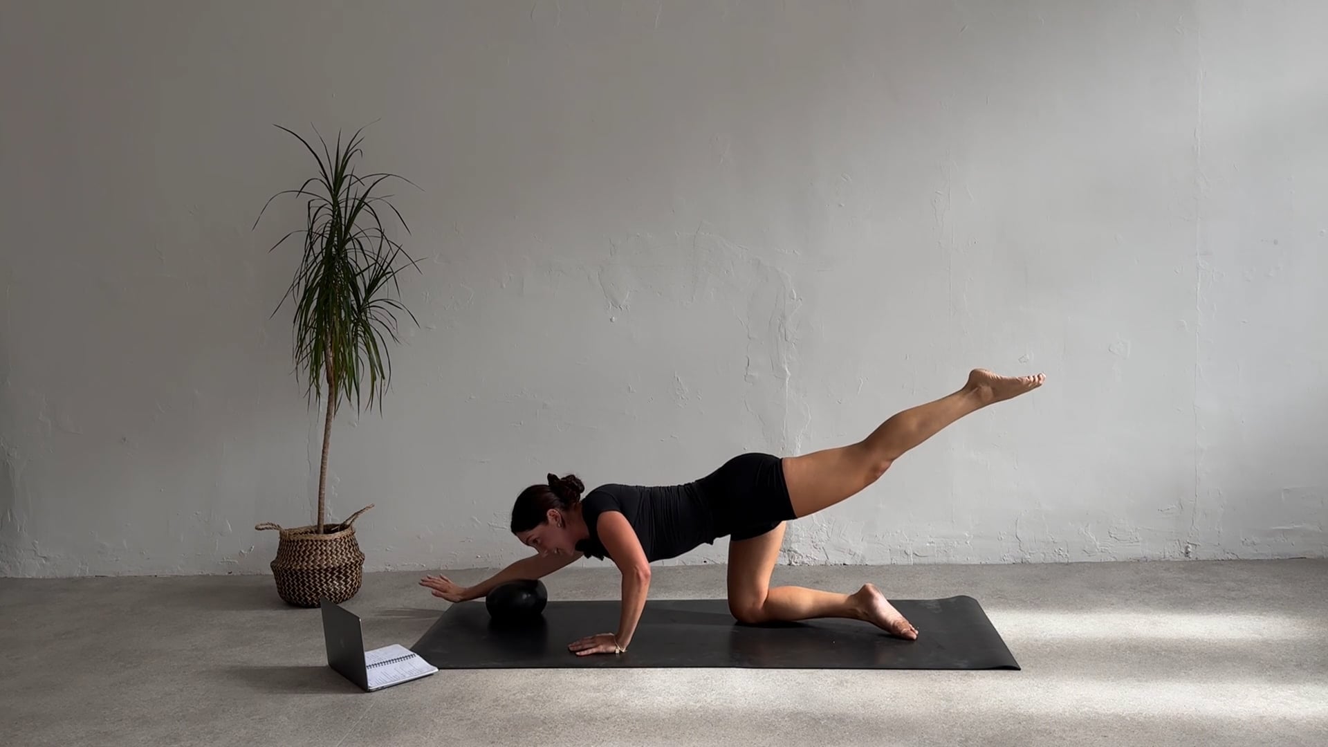 Express Full Body With Ball