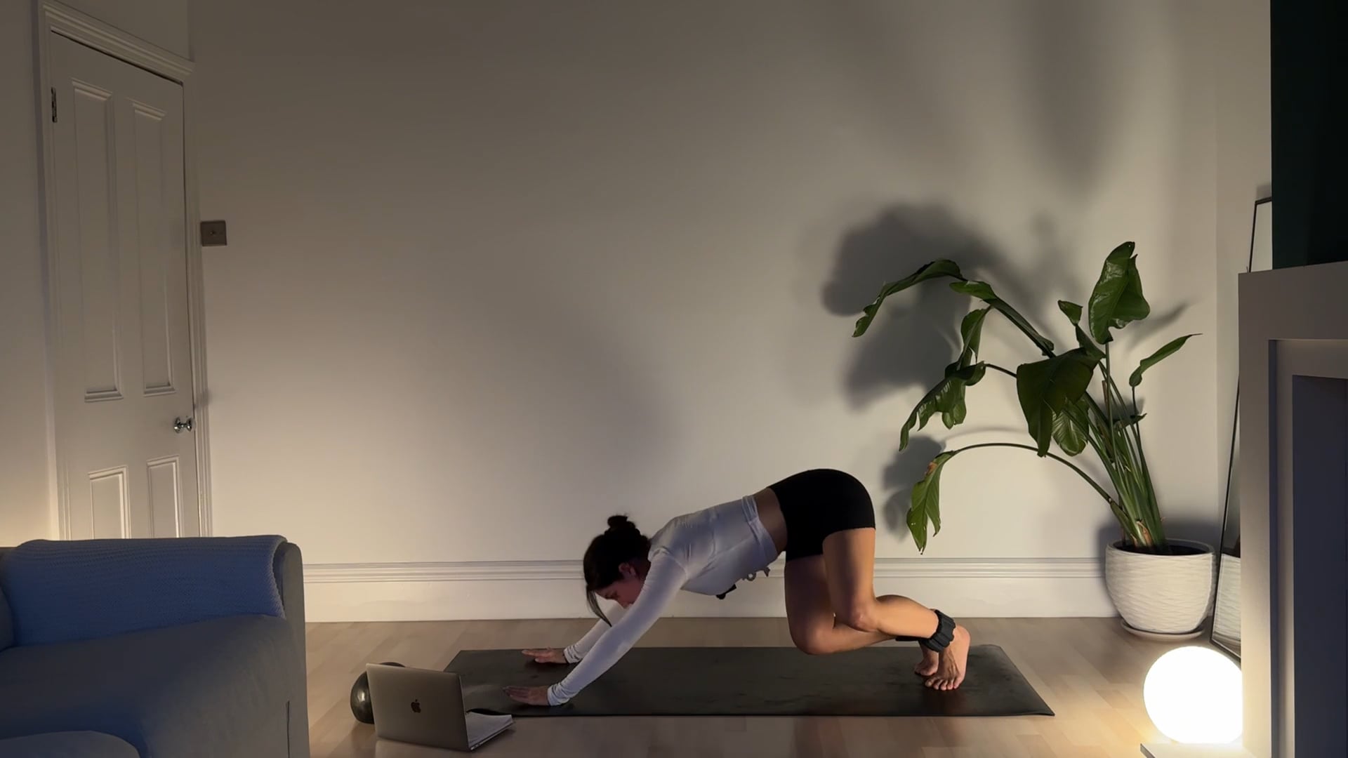 Full Body: Ball & Ankle Weights