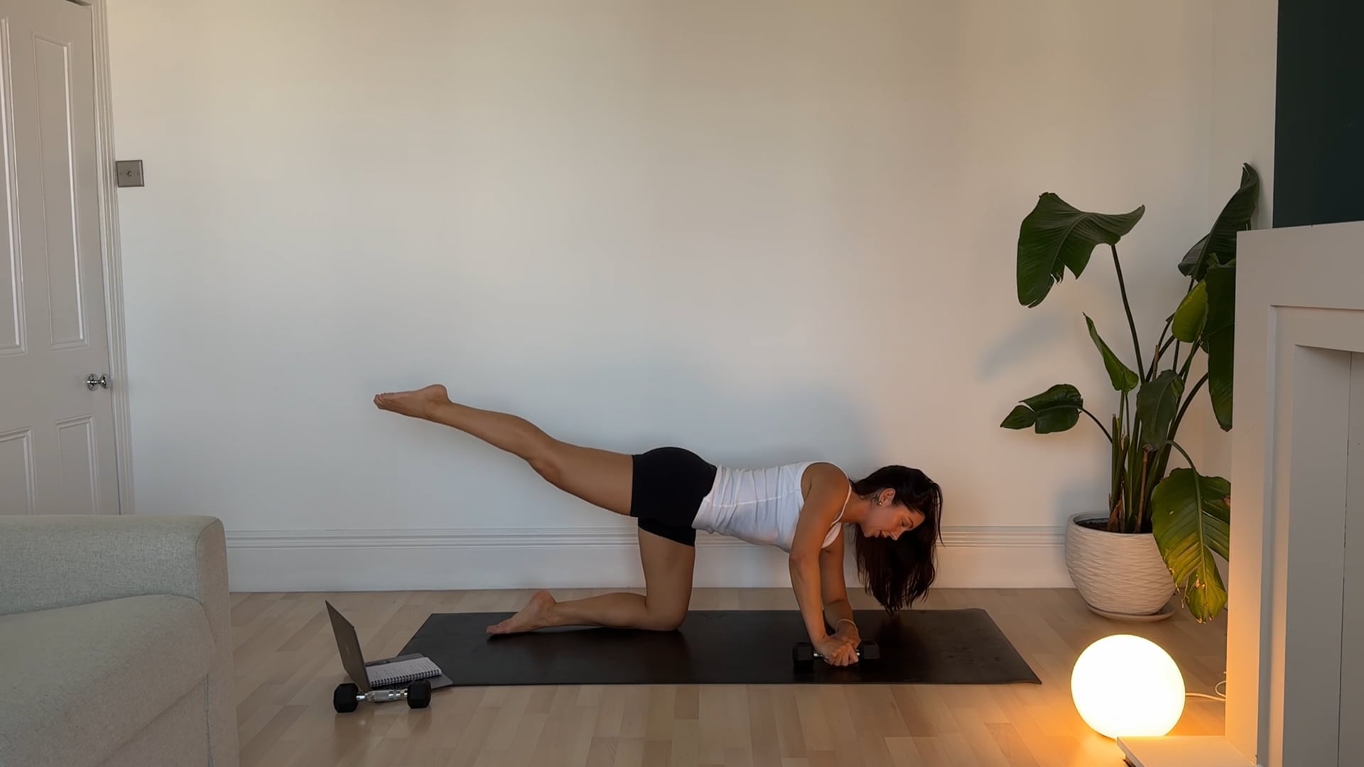 Full Body With Dumbbells