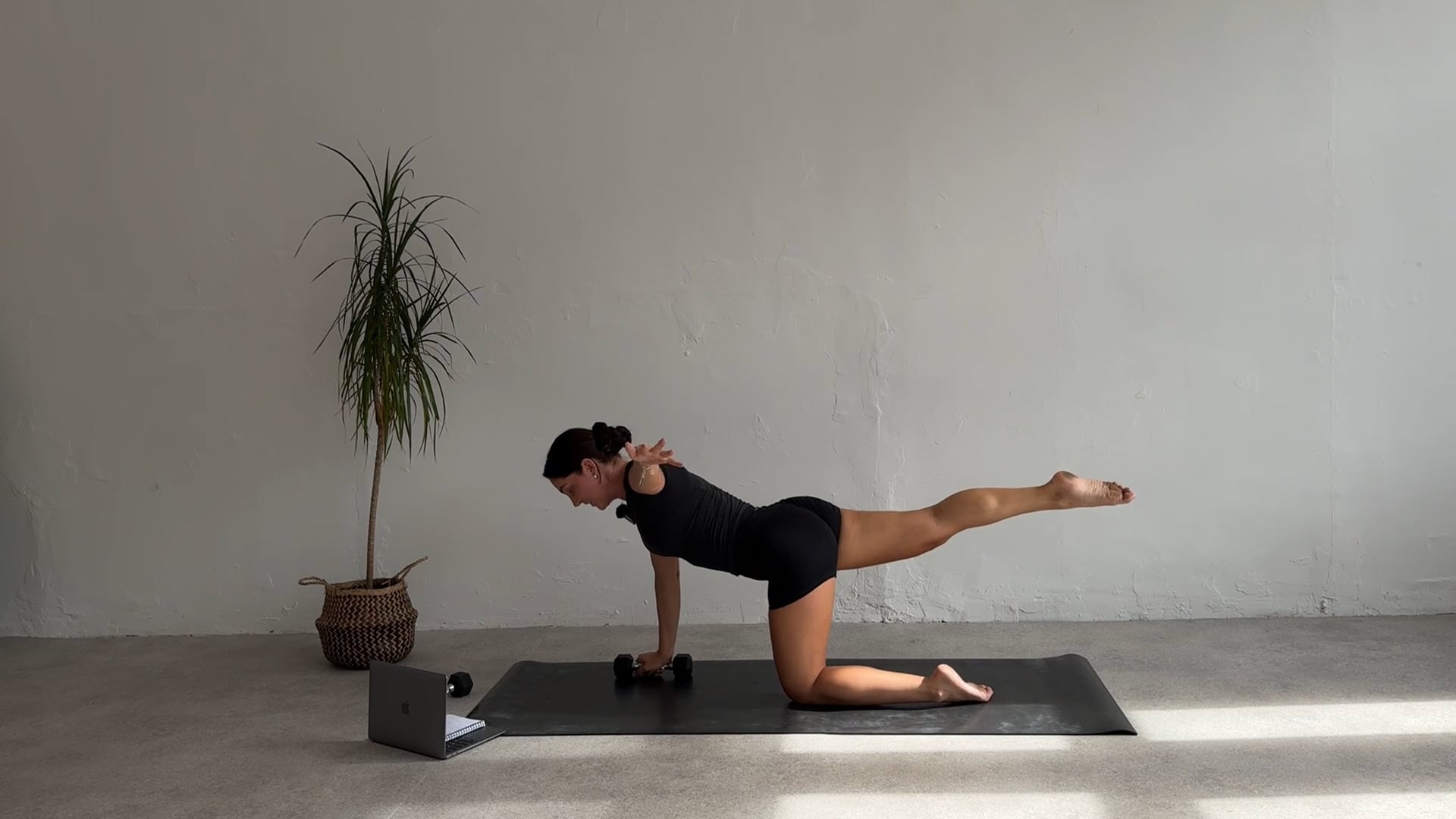 Full Body Flow With Dumbbells