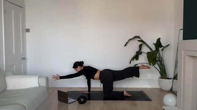 Full Body Basics With Ball