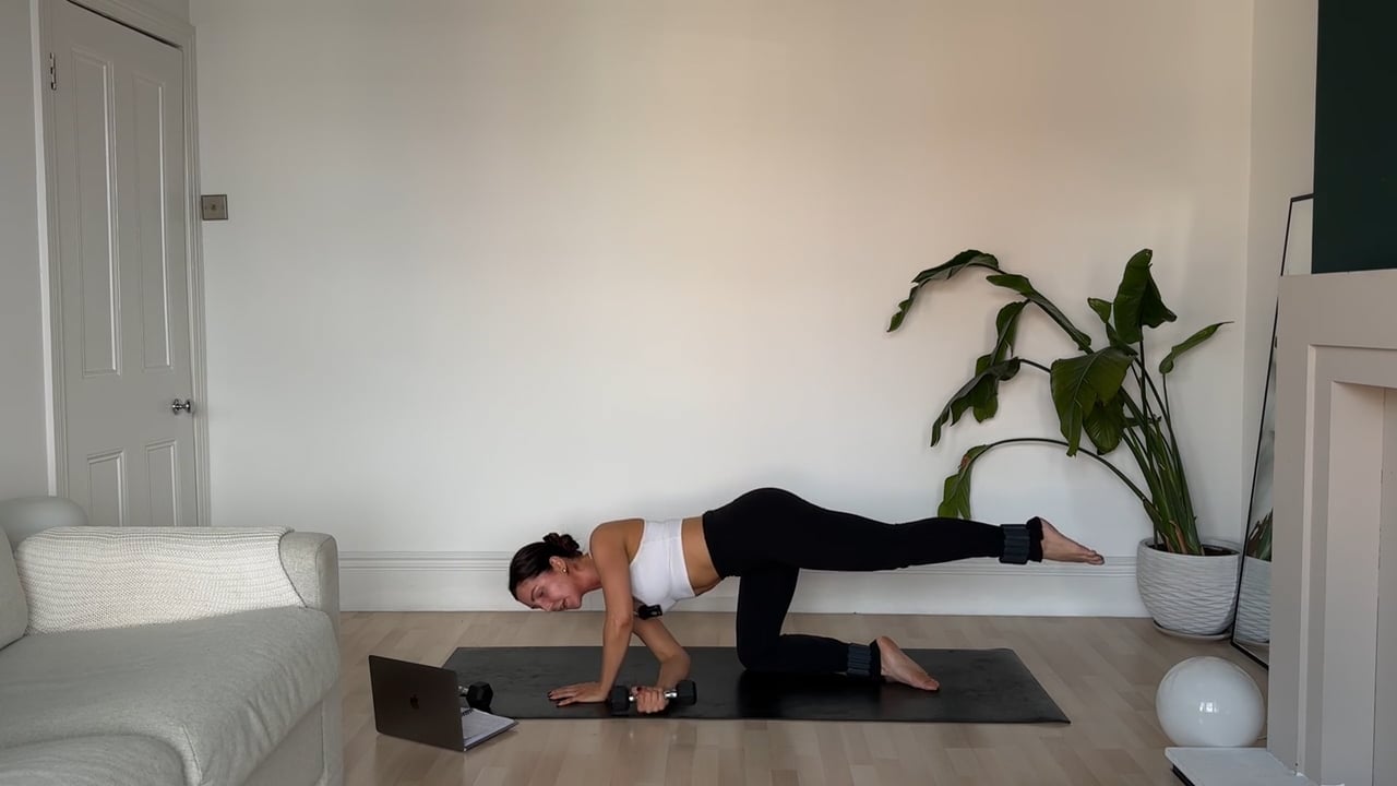 Full Body: Core Focus Using Dumbbells and Ankle Weights