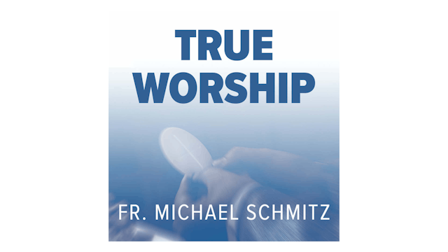 True Worship by Fr. Mike Schmitz