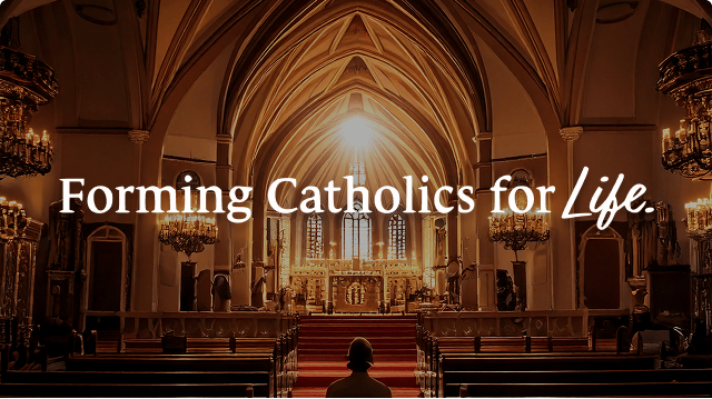 Collection with Trailer