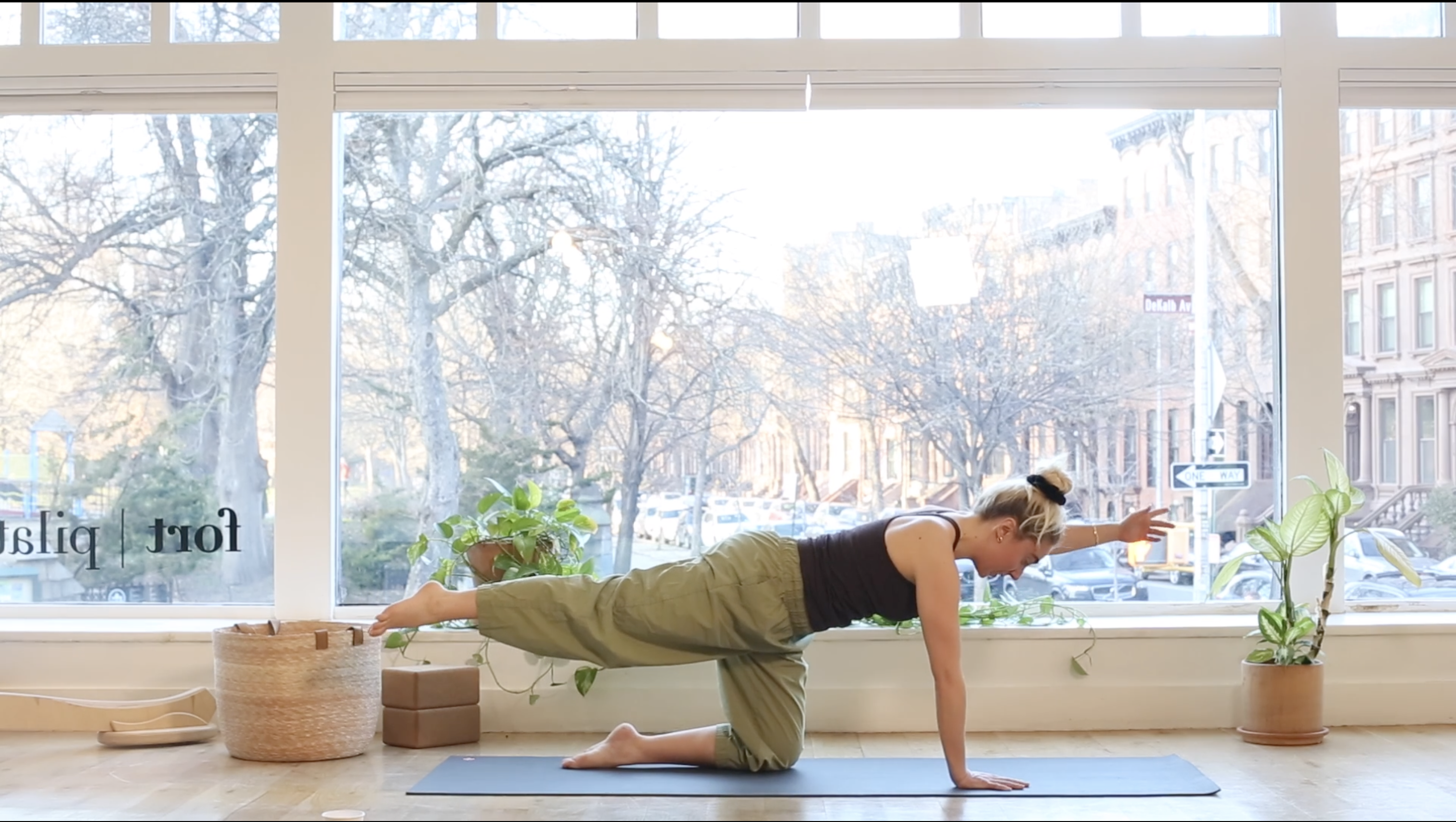 JUST RELEASED: The Whole Practice - MINI w/Laura C.