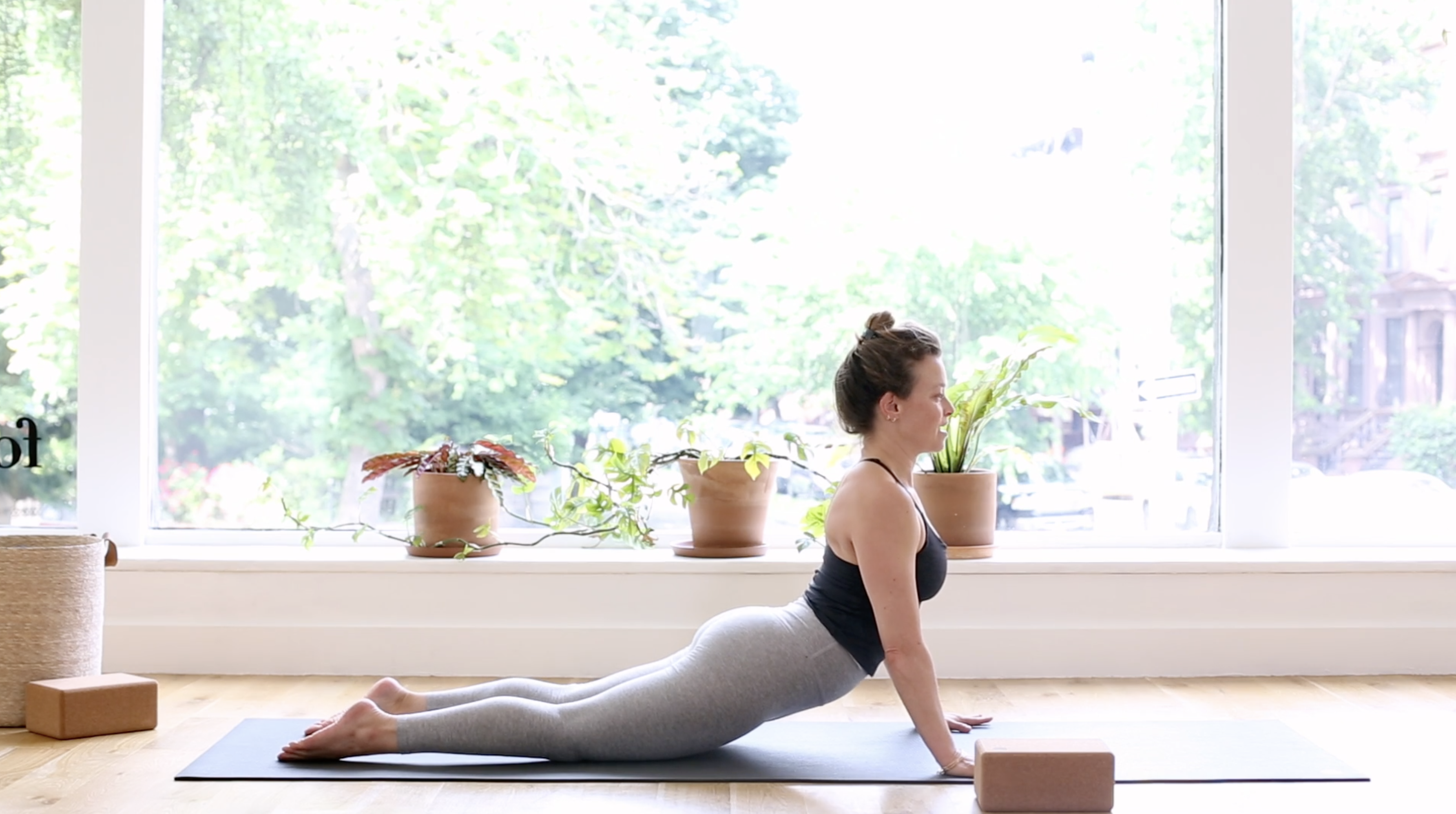 29. Build Your Fort - Arms and upper body w/Ashley R.