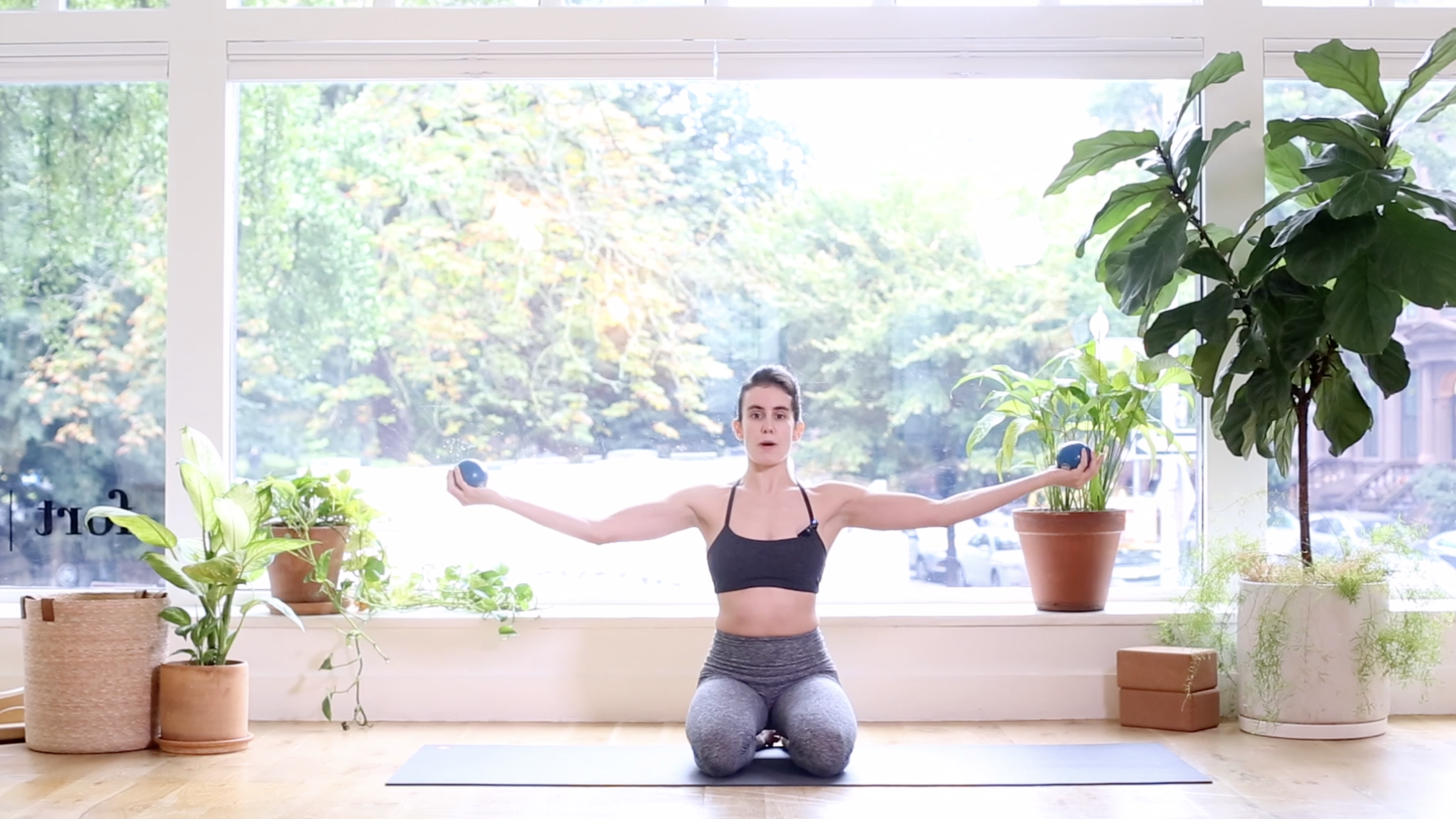 80. Build Your Fort: Upper Body + Arms w/Sam L.