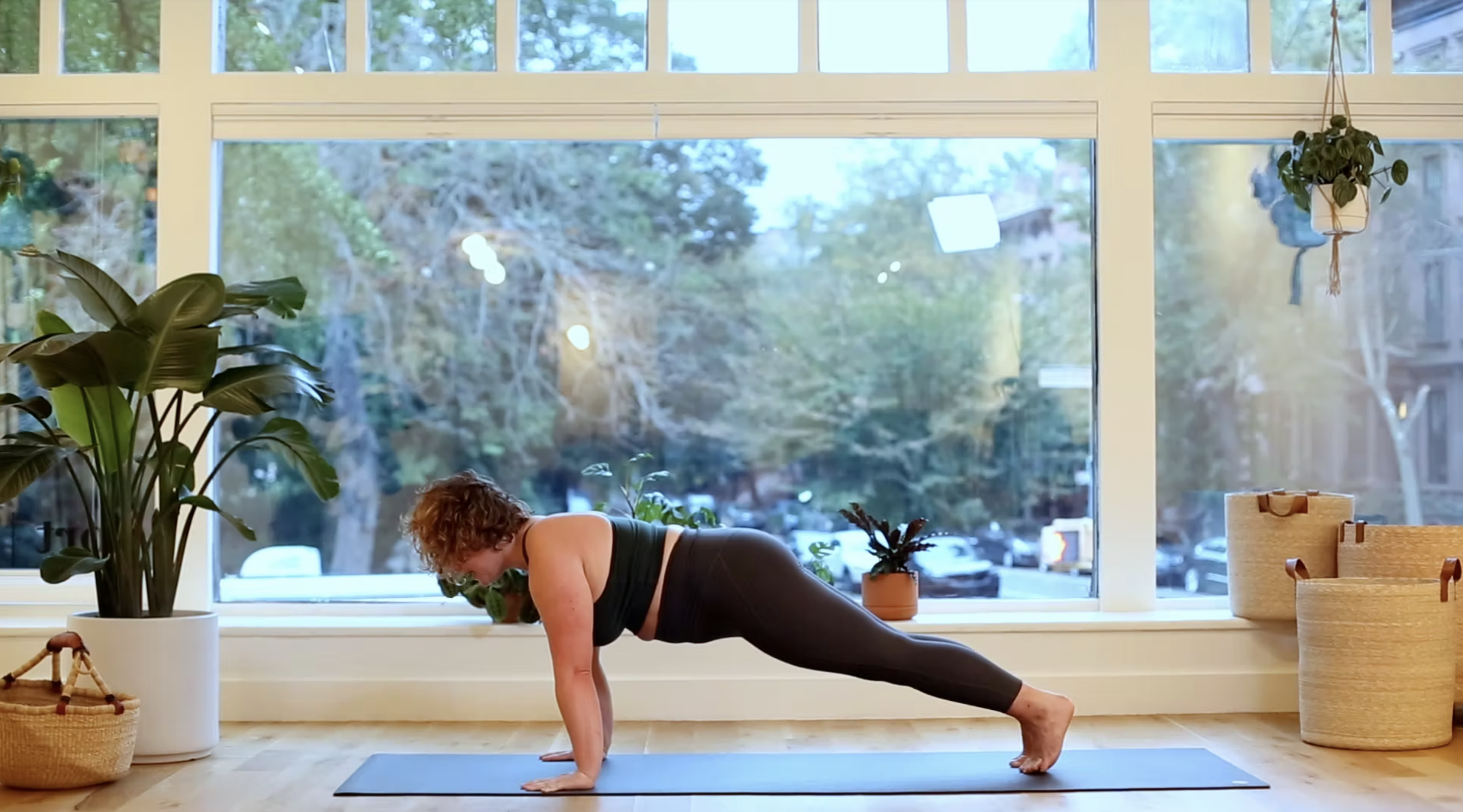 30.The Whole Practice w/Laurel S.