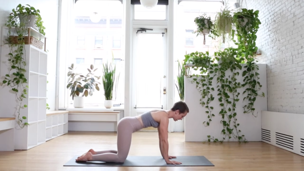 25. Build Your Fort - Shoulders & Arms w/Emily S.