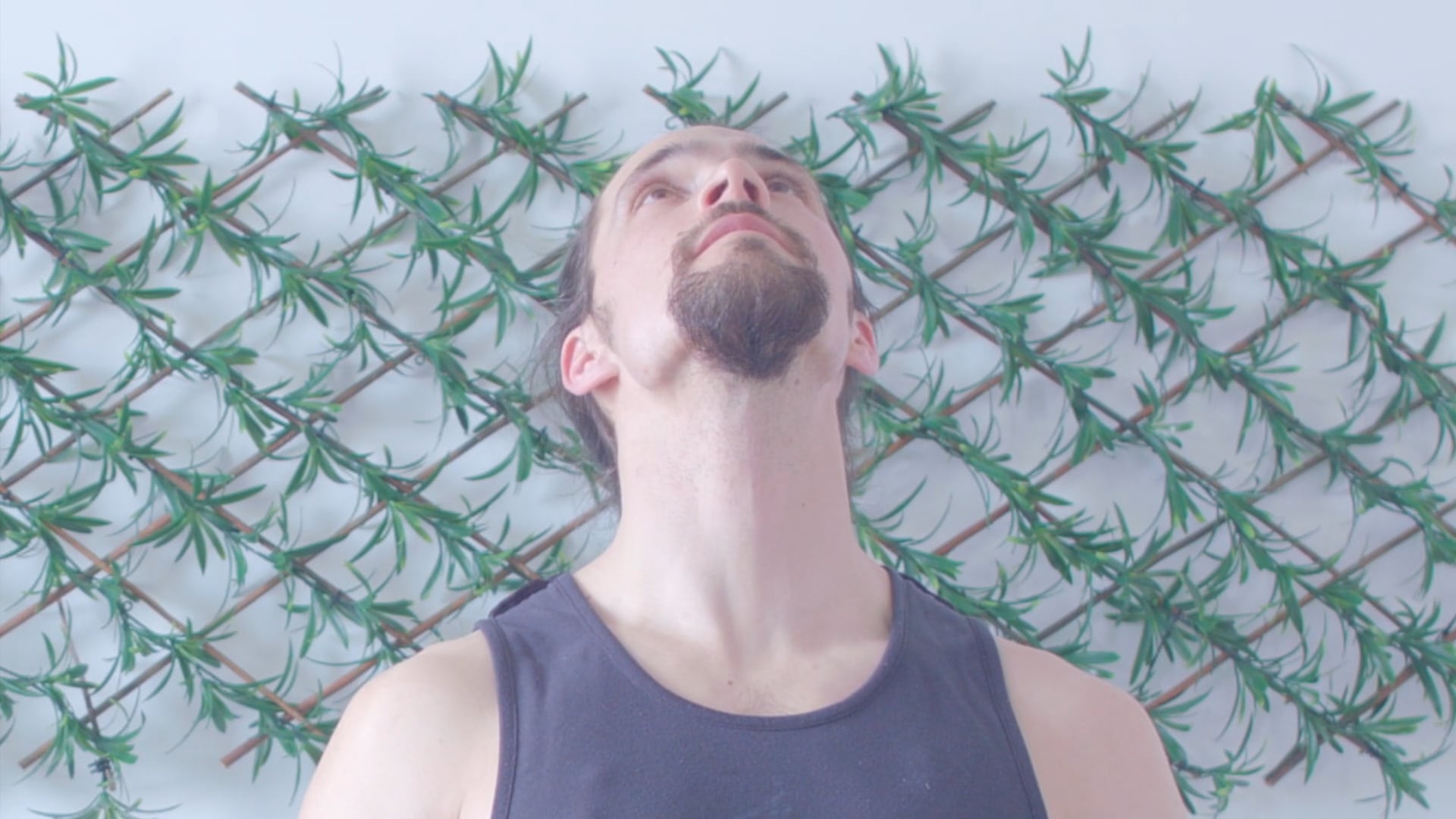 Foundational Movement Institute Video