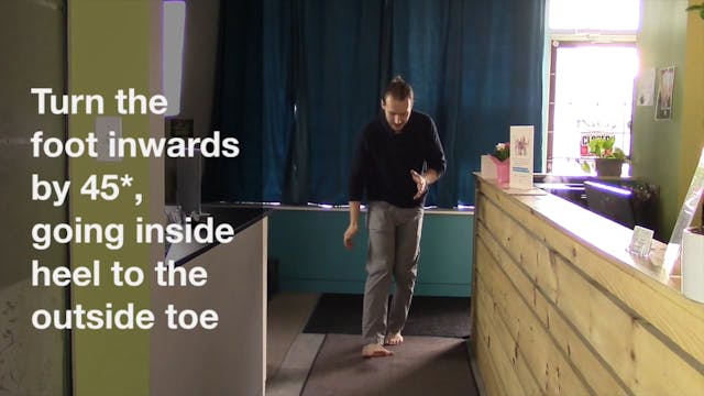 Conscious Walking Protocols - Pigeon ...