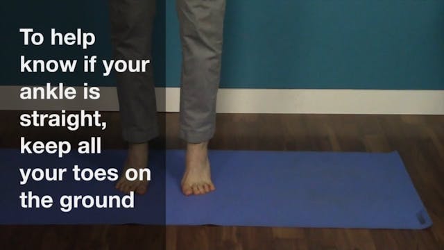 Toe Raise & Calve Raise