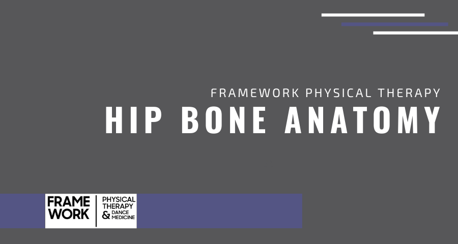 Hip Bone Anatomy