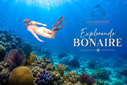 Explorando Bonaire | Vlog 6  Crucero ...