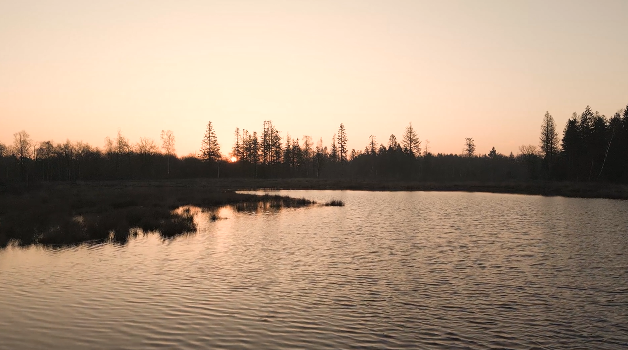 FRAZIER KRISTINA CATHRYN FAYTHE