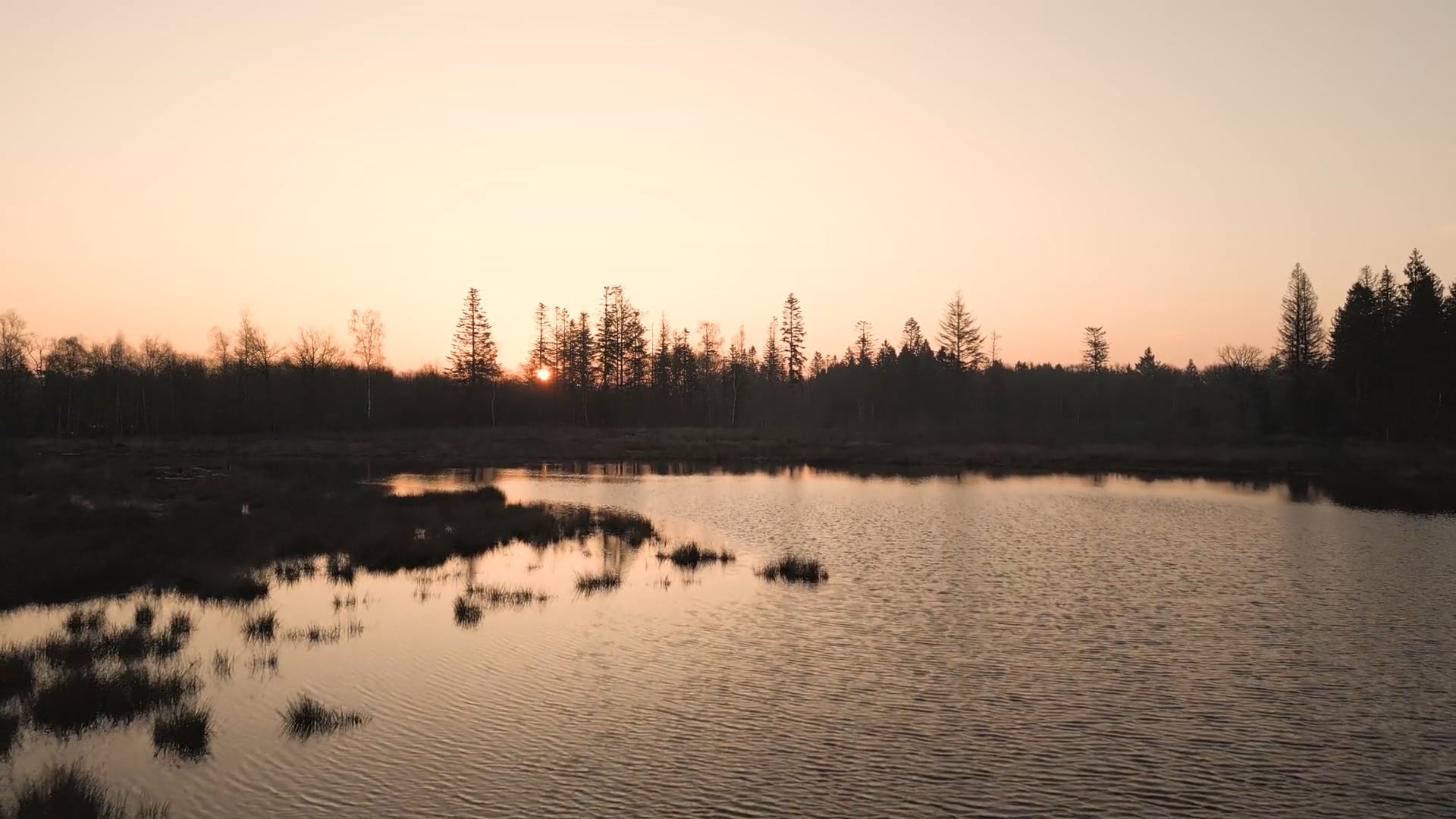 203678-922748476_small