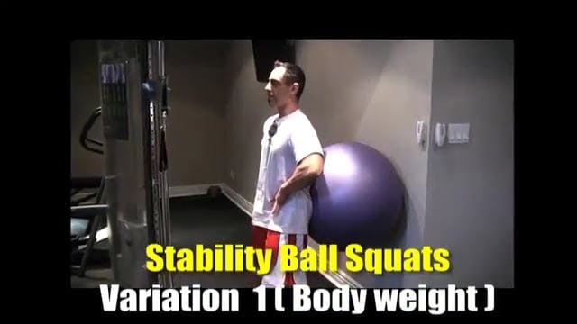 Stability Ball Squats