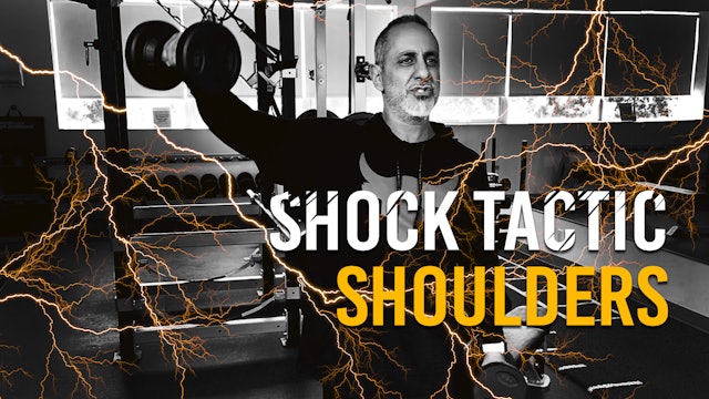 Shock Tactic - Shoulders