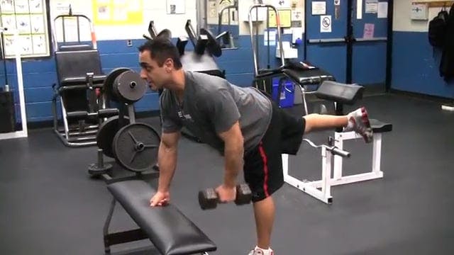 Back Dumbbell Rows (6 variations)