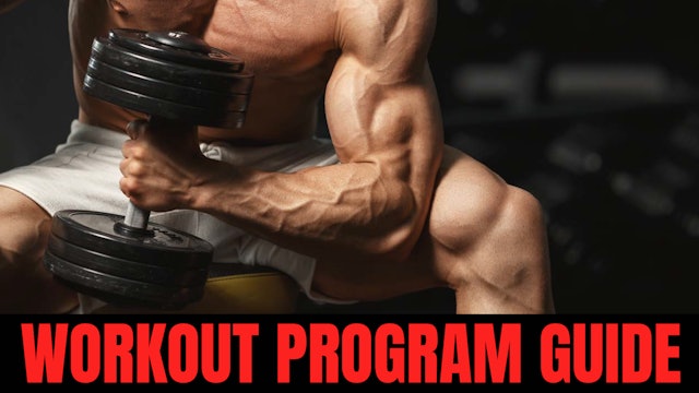 Workout Program Guide