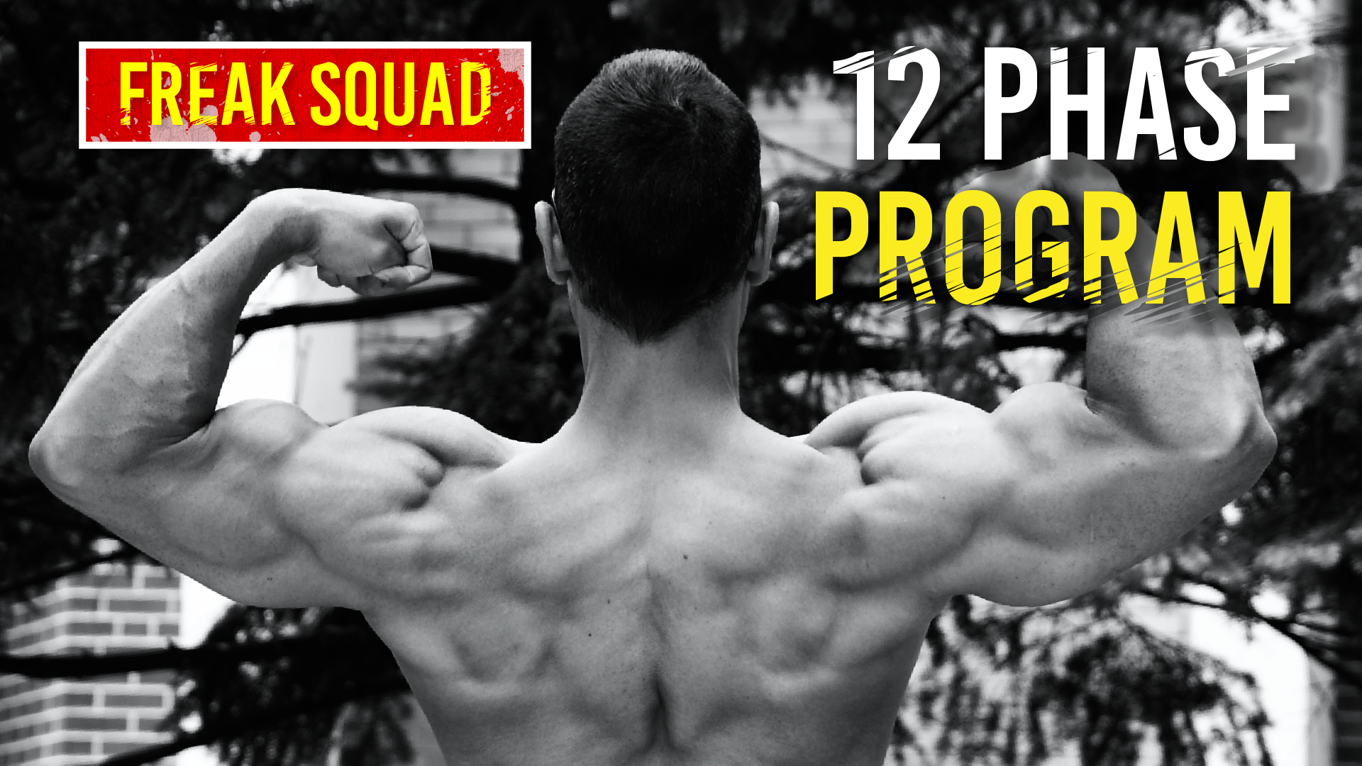 12 Phase Muscle Building Program