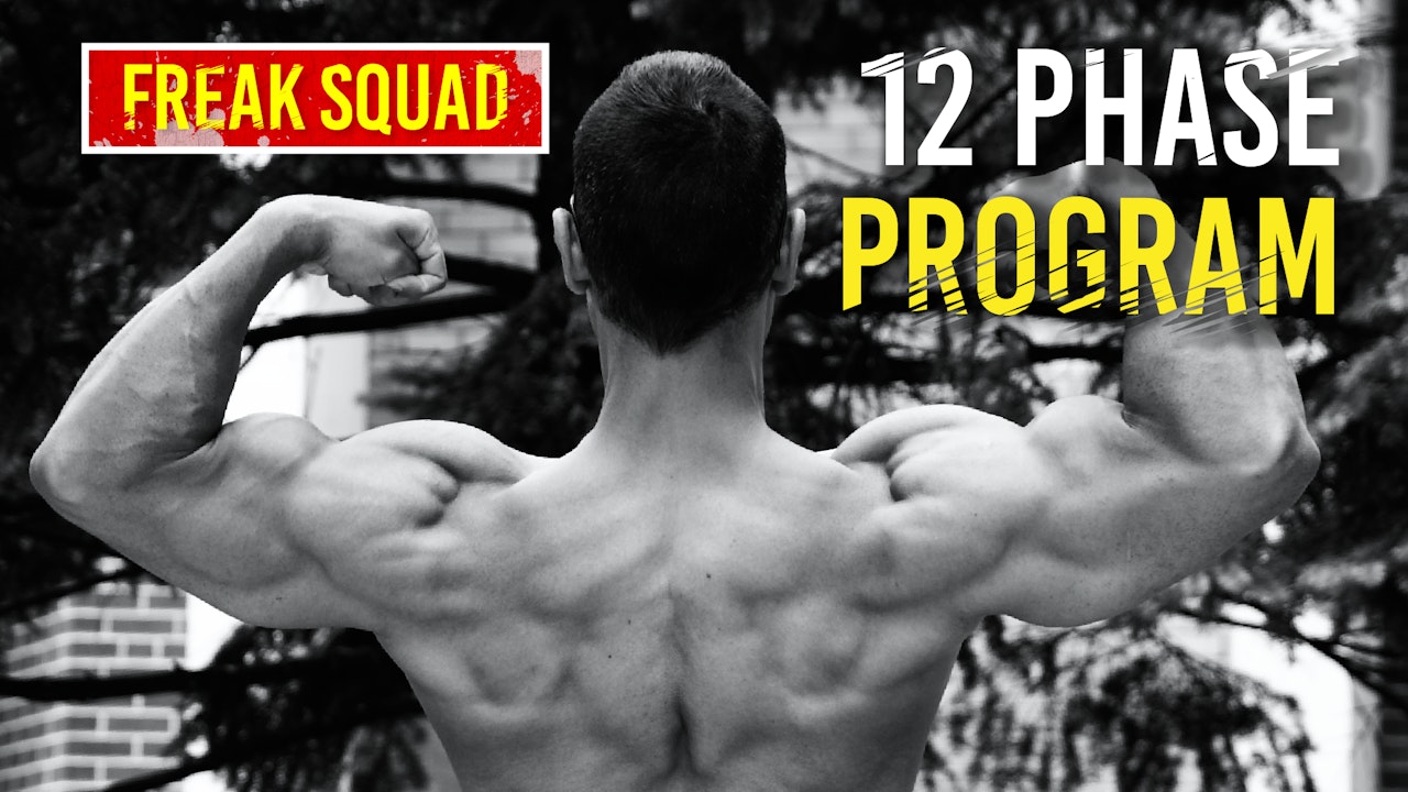 12 Phase Muscle Building Program