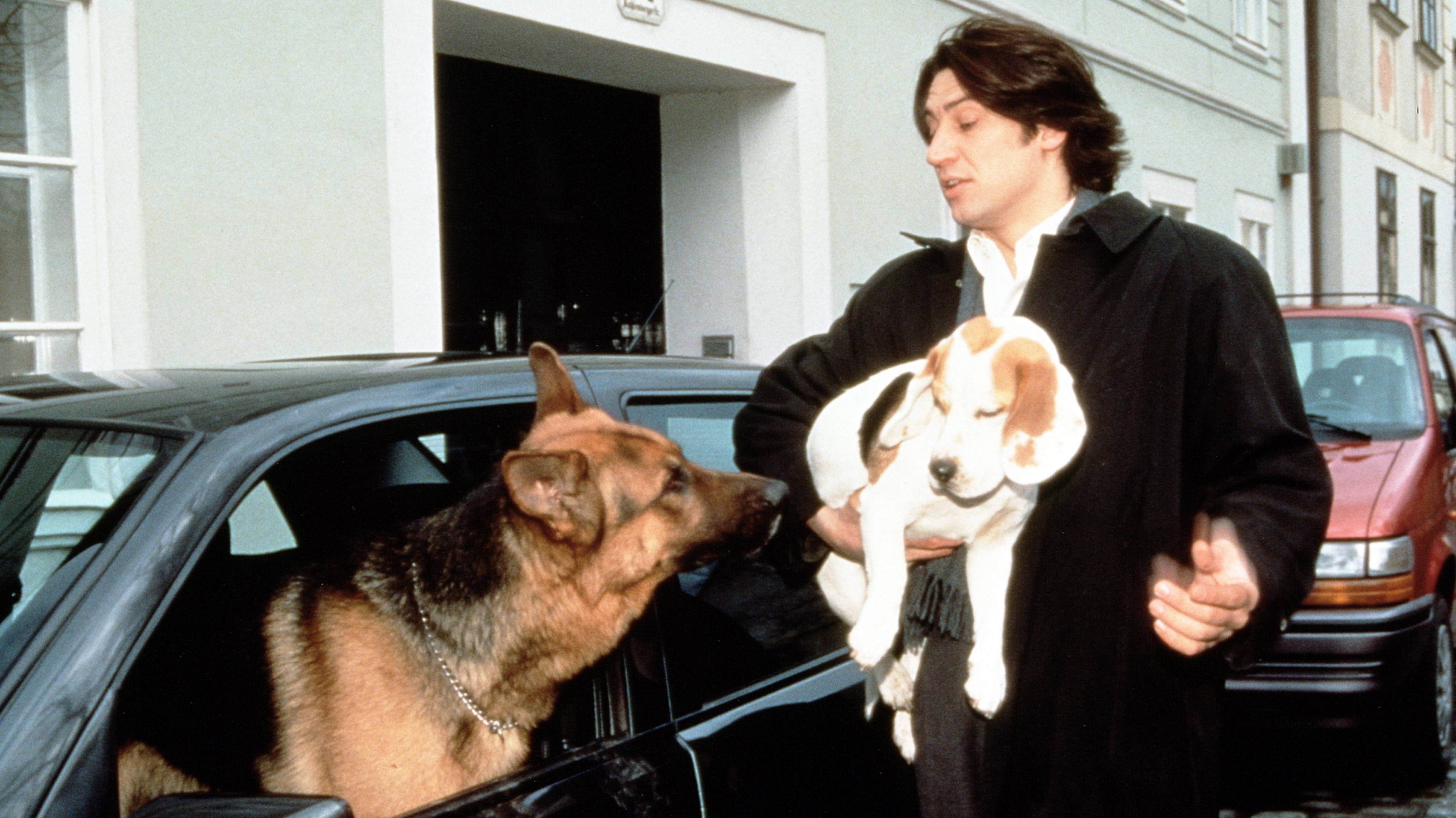 Inspector Rex: Lethal Dose