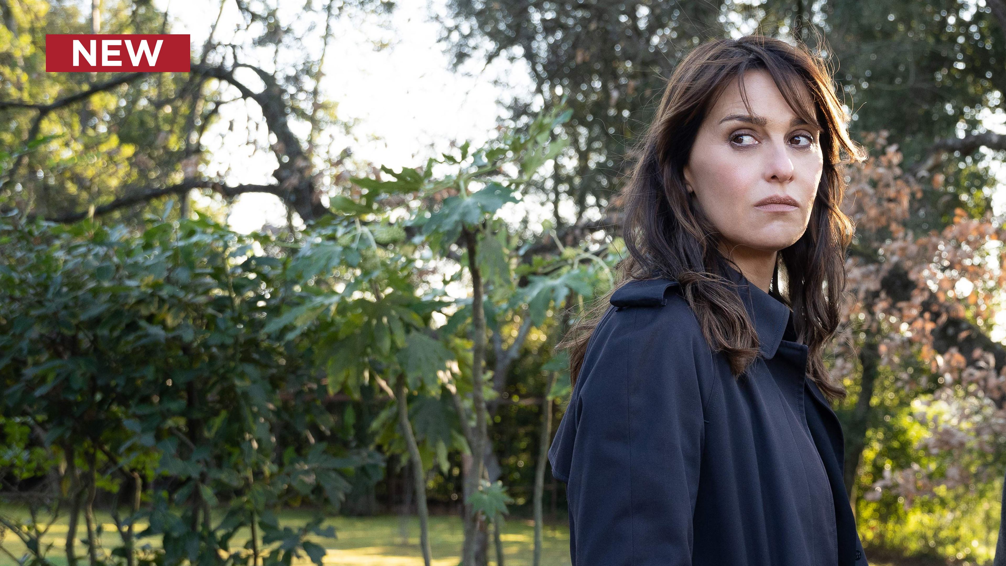 Petra: Snakes in Paradise