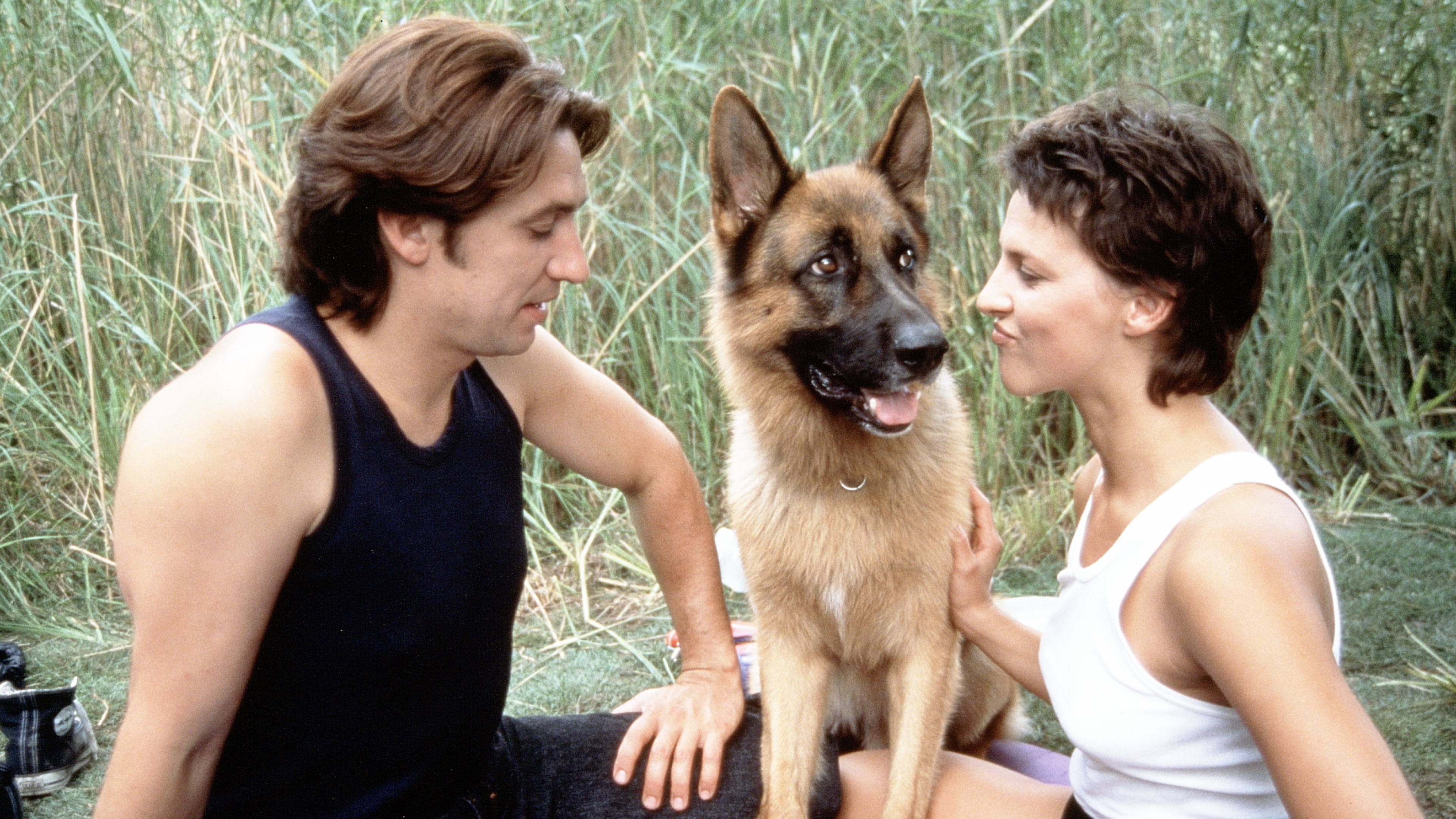 Inspector Rex: A Killer Summer