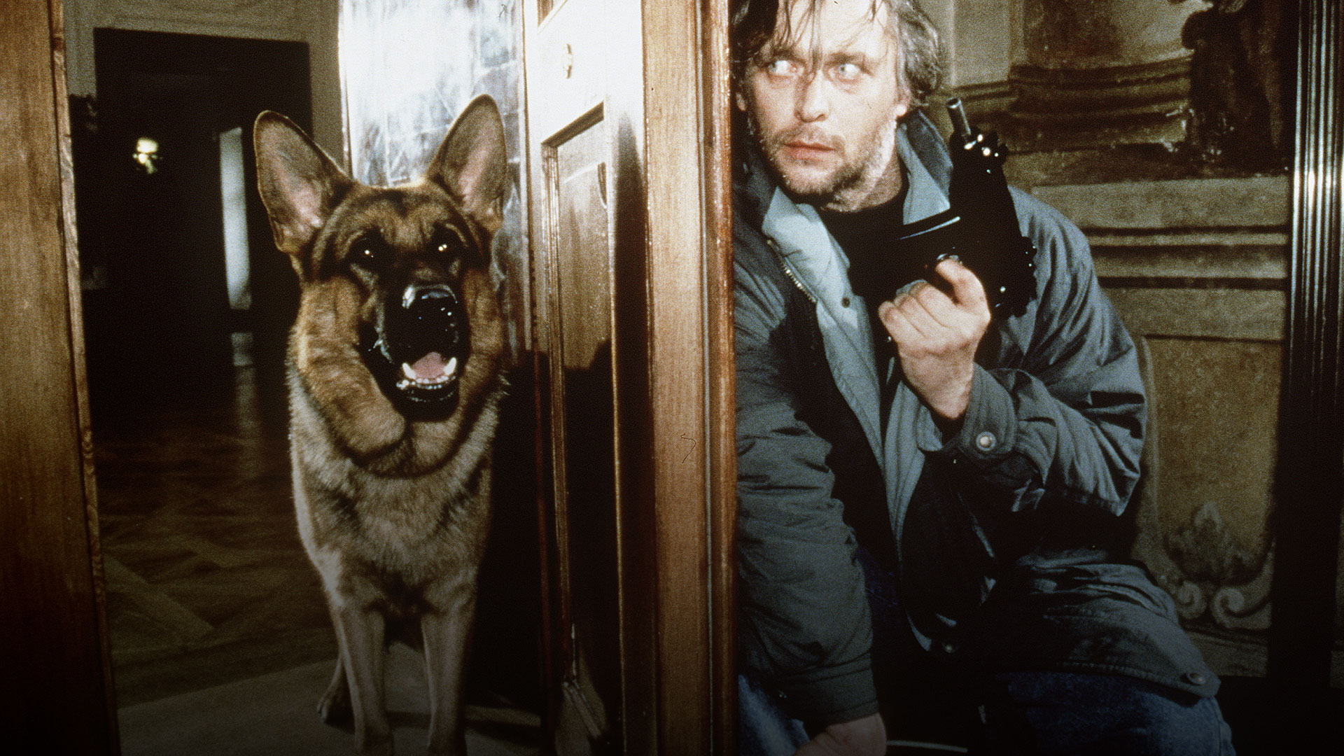 Inspector Rex: Playing With Fire (Sn 1 Ep 7)