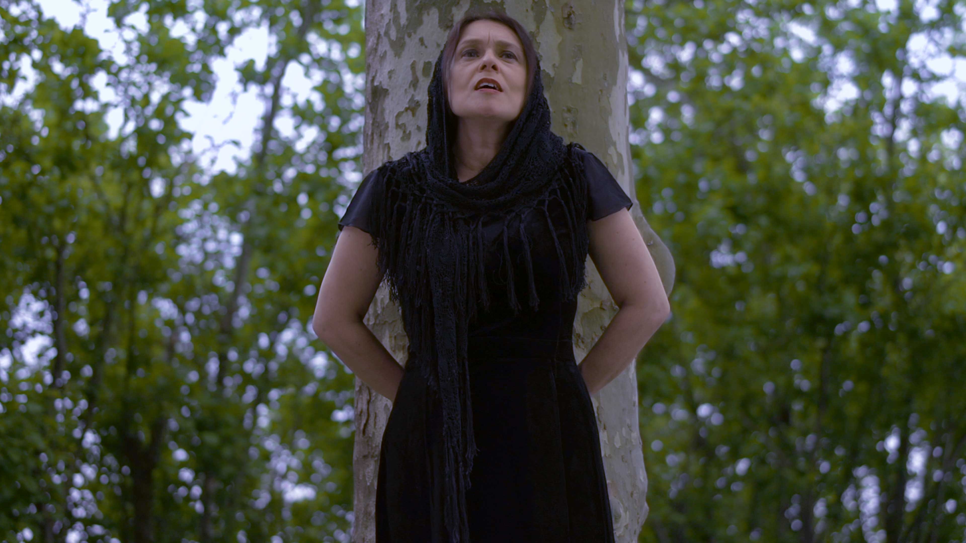 Bogre - The Great European Heresy: Part 2