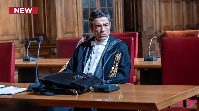 The Cases of Attorney Guerrieri: A Fi...