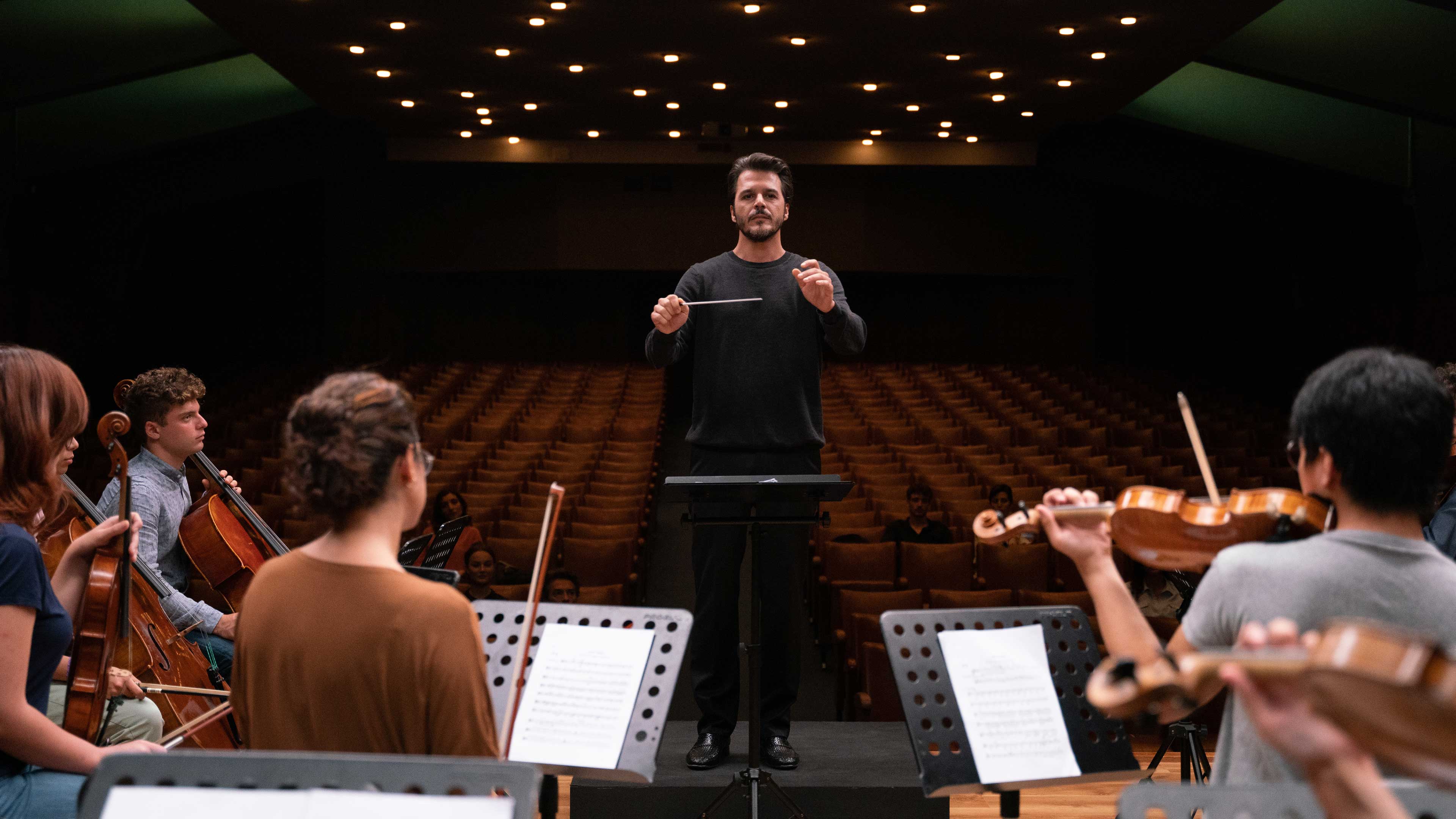 Swan Company: The Return